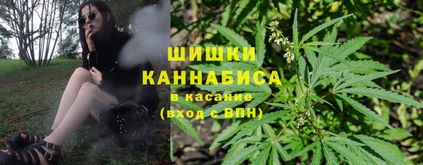 СК Сафоново