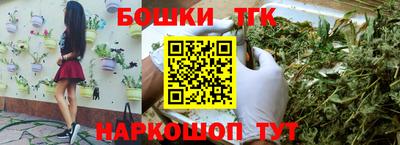 СК Краснознаменск