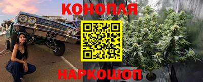 шишки Краснокаменск
