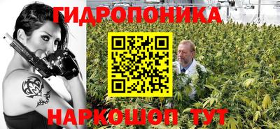 СК Краснознаменск