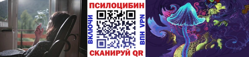 Галлюциногенные грибы Psilocybine cubensis Качканар