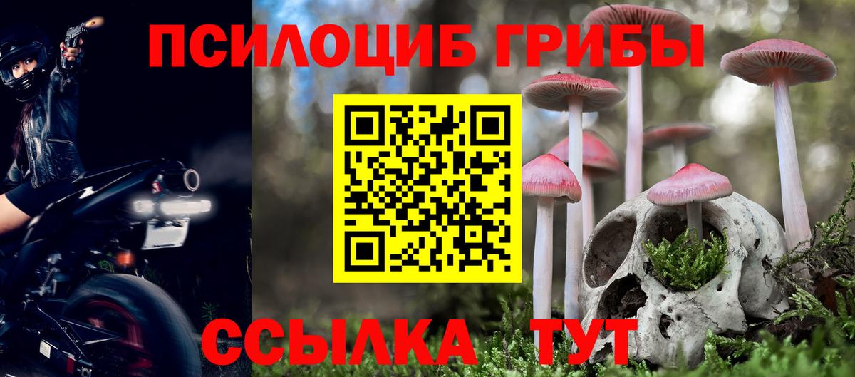Качканар  Псилоцибиновые грибы ЛСД  Вход с VPN  Псилоцибиновые грибы Psilocybine cubensis 